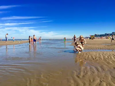 a group of people playing in the water at the beach at Reumann Holiday Apartments De Schelp 5 in Zandvoort