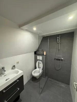a bathroom with a shower and a toilet and a sink at Nine Streets Inn in Amsterdam