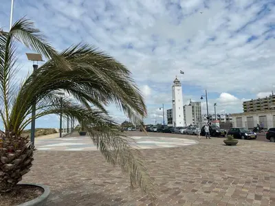 a palm tree on a sidewalk with a building in the background at Holiday Home Tapuit 6-2 by Interhome in Noordwijk