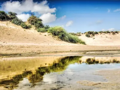a beach with a reflection in the water at Holiday Home Tapuit 8-2 by Interhome in Noordwijk