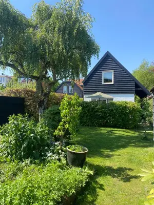 a yard with a house and a tree at Tiny House De Oude Berg in Bergen