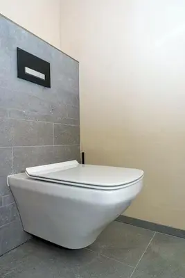 a white toilet in a bathroom with a wall at Klein Polderhuis - tuinhuis in Roelofarendsveen