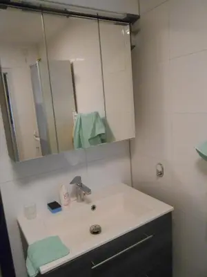 a bathroom with a sink and a mirror at Hetem's Room in Amsterdam