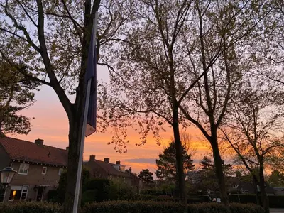 a sunset behind some trees in a residential neighborhood at Het Lichthuis in Zandvoort