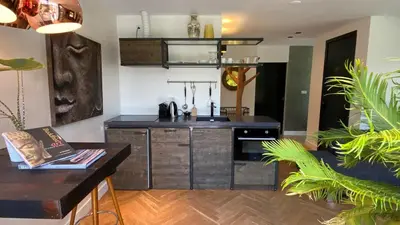 a kitchen with a stove and a counter top at Het Lichthuis in Zandvoort
