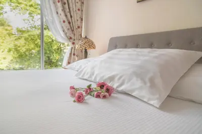 a bunch of pink roses sitting on top of a bed at Keizershouse Amsterdam in Amsterdam