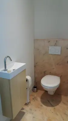 a bathroom with a white toilet and a sink at Het Findament Tiny house in Hilversum