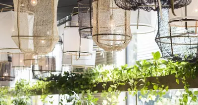 a room with plants in cages hanging from the ceiling at Hyatt Regency Amsterdam in Amsterdam