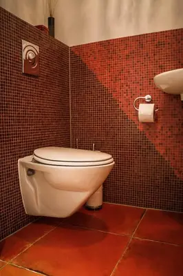 a bathroom with a toilet in a red tiled wall at Vitamine Zee in IJmuiden