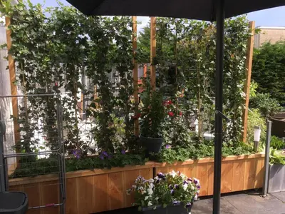 a greenhouse filled with plants and flowers at Studio@25 in Zandvoort