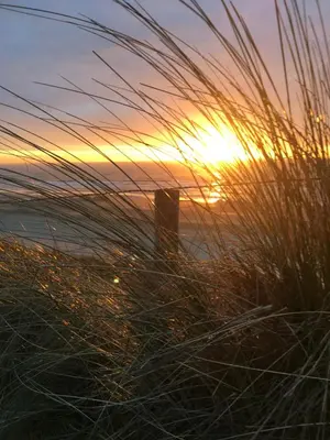 a sunset on the beach with tall grass at Studio@25 in Zandvoort