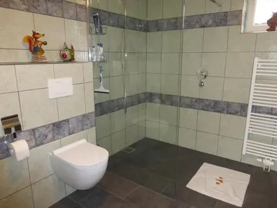 a bathroom with a toilet and a shower at de zanderij in 's-Graveland