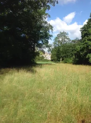 a field of tall grass with a house in the background at de zanderij in 's-Graveland