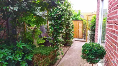 a garden with a bunch of flowers on a building at Beach Holiday Appartements in Dirkshorn