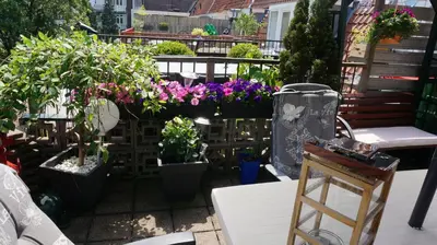 a patio with potted plants on a balcony at Amsterdam Roof Terrace B&B in Amsterdam