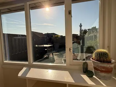 a window with a view of a patio with a cactus at BeachVibes in Egmond aan Zee