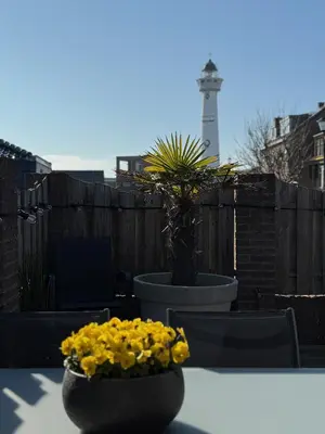 a vase of yellow flowers sitting on a table at BeachVibes in Egmond aan Zee