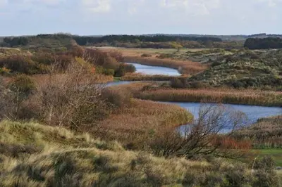 a field with two water channels in the middle at Papillon flat in Zandvoort