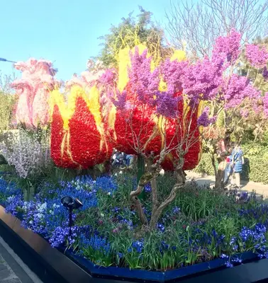 a display of flowers at the dubai miracle garden at Strandzand in Noordwijk aan Zee