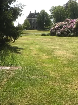 a large grass field with a house in the background at Appartement Bos en Duin in Vogelenzang