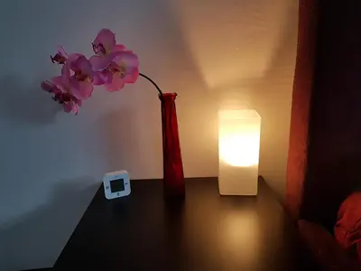 a vase with a flower on a table next to a light at Sunny Guesthouse in Amsterdam