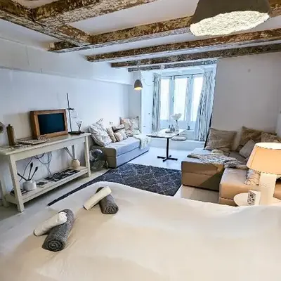 JoyJoyJoy the White Wilde ecolicious studio in a historic Canalhouse from 1799 with terrace at the canals