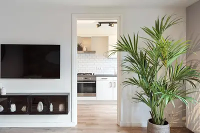 a white kitchen with a tv and a plant at The Beach & Town Suite - Free Parking in Zandvoort