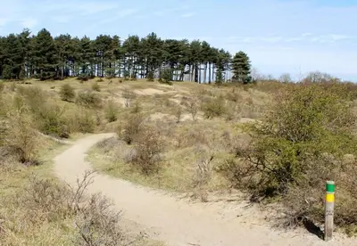 a dirt road in the middle of a field with trees at The Beach & Town Suite - Free Parking in Zandvoort