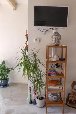 a room with a tv and a shelf with plants at Studio South Beach with garden and free parking in Zandvoort