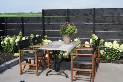 a table and chairs with a potted plant on a patio at Gastenverblijf De Natureluur in Noorden