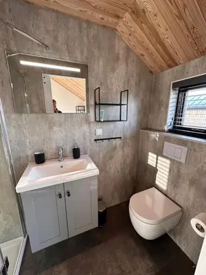a bathroom with a sink and a toilet and a mirror at Gastenverblijf De Natureluur in Noorden