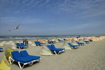 a bunch of lawn chairs on a beach at Life@Sea in Zandvoort