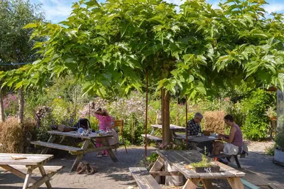 a group of people sitting at picnic tables under a tree at De Sfeerstal in Nieuwveen
