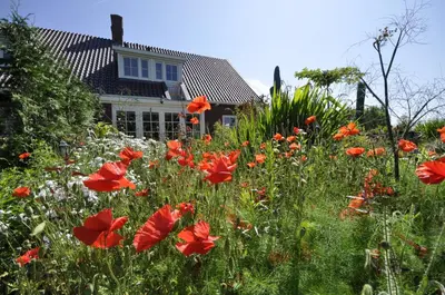 a field of red flowers in front of a house at De Sfeerstal in Nieuwveen