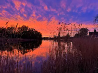 a sunset over a body of water with tall grass at Family House Amsterdam in Amsterdam