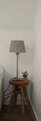 a lamp on a wooden table with a plant on it at Koningshof in Alkmaar