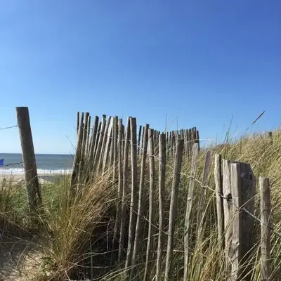 Koningshof