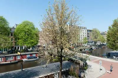a tree in the middle of a river with buildings at Da Costa Suite in Amsterdam