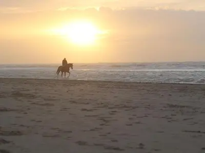 a person riding a horse on the beach at sunset at Holiday Home in Noordwijk with Sunny Garden in Noordwijk aan Zee