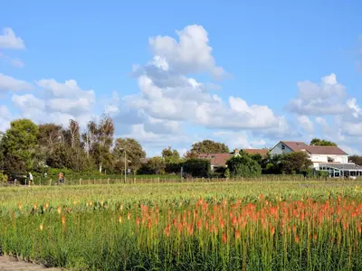 a field of flowers in front of a house at Modern Apartment in Noordwijk near the Sea in Noordwijk