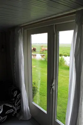 a window with a view of a field with elephants through it at Bed and Stay Amsterdam in Amsterdam
