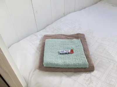 a green blanket sitting on top of a bed at Bed and Stay Amsterdam in Amsterdam