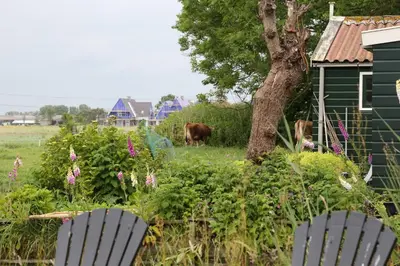 a cow grazing in a field next to a tree at Bed and Stay Amsterdam in Amsterdam