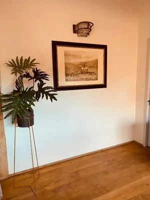 a room with a plant and a picture on the wall at Duinappartementen Schoorl in Schoorl