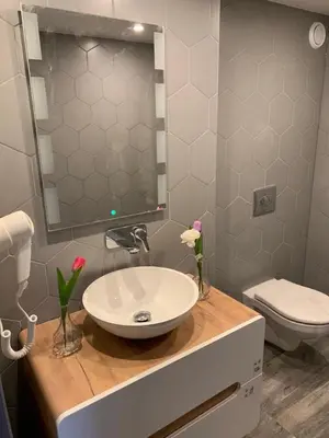 a bathroom with a sink and a toilet at Hotel Restaurant Old Bridge in Amsterdam