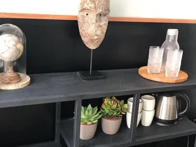 a shelf with potted plants and a lamp on it at Amsterdam Red Light Bed & Breakfast in Amsterdam