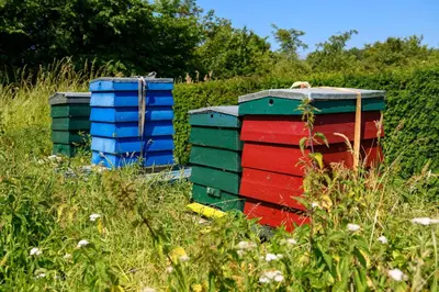 a group of colorful containers sitting in the grass at Stayokay Hostel Heemskerk - fully renovated April 2026 in Heemskerk