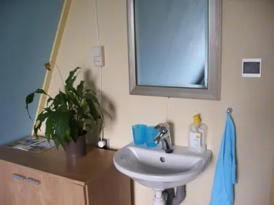 a bathroom sink with a mirror and a potted plant at B&B-Edam in Edam