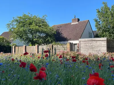 a field of flowers in front of a house at The Beach House in Noordwijkerhout