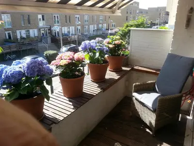 a row of potted plants on a balcony at Kampan in Zandvoort